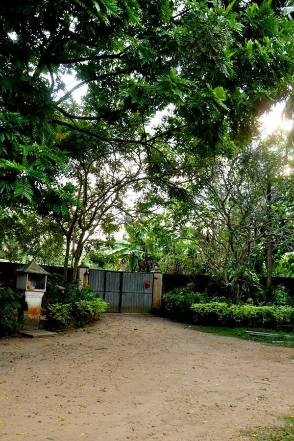 Green Corridor - Ahangama Bagian luar foto